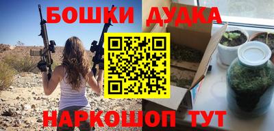индика Партизанск