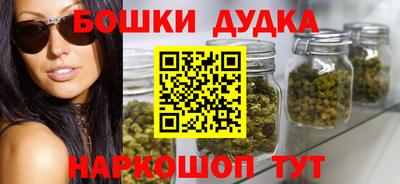 индика Партизанск