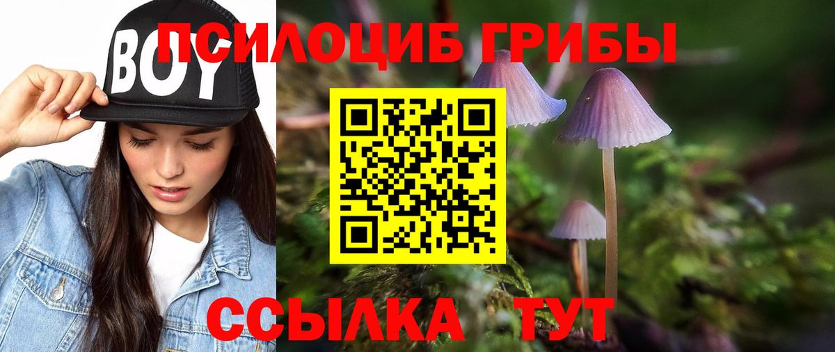 Галлюциногенные грибы Psilocybe Уварово